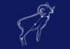 Aries zodiac